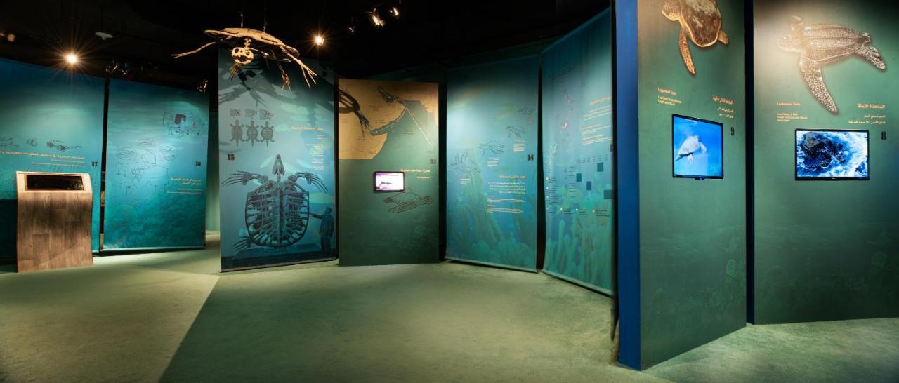 Ras Al Jinz Turtle Reserve Al Hadd Zewnętrze zdjęcie