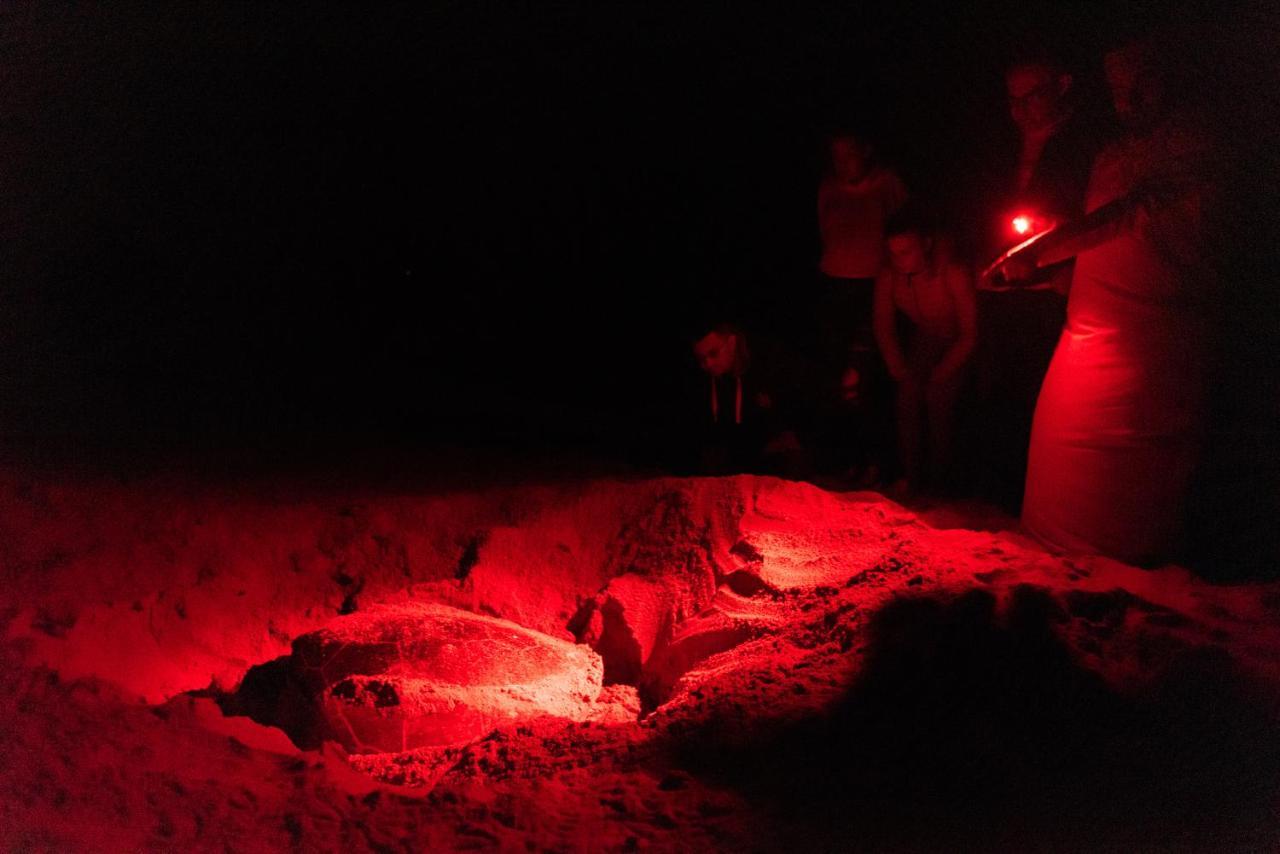 Ras Al Jinz Turtle Reserve Al Hadd Zewnętrze zdjęcie